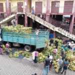 Medias241.com-gabon-LES GROSSISTES DU MARCHÉ BANANE REÇOIVENT LEURS LAISSER-PASSER