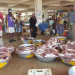 Medias241.com-gabon-DU POISSON FRAIS LIVRÉ À DOMICILE SUR COMMANDE EN PÉRIODE DE CONFINEMENT