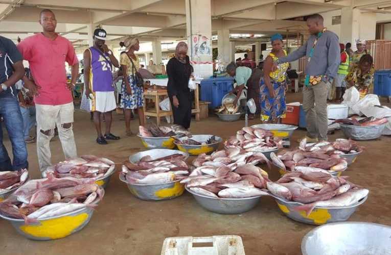 Medias241.com-gabon-DU POISSON FRAIS LIVRÉ À DOMICILE SUR COMMANDE EN PÉRIODE DE CONFINEMENT