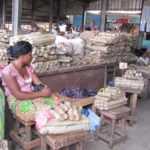 Medis241.com-gabon-LIBREVILLE : OÙ EST DONC PASSÉ LE MANIOC ?