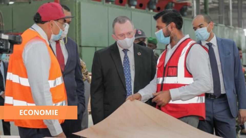 Medias241.com-gabon-LE SECTEUR BOIS SORTIRA DE CETTE CRISE PLUS FORT, SELON LEE WHITE