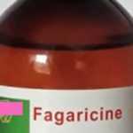 Medias241.com-gabon-FLOU SCIENTIFIQUE AUTOUR DE LA FAGARACINE