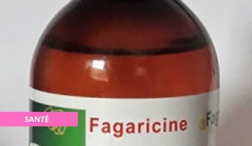 Medias241.com-gabon-FLOU SCIENTIFIQUE AUTOUR DE LA FAGARACINE