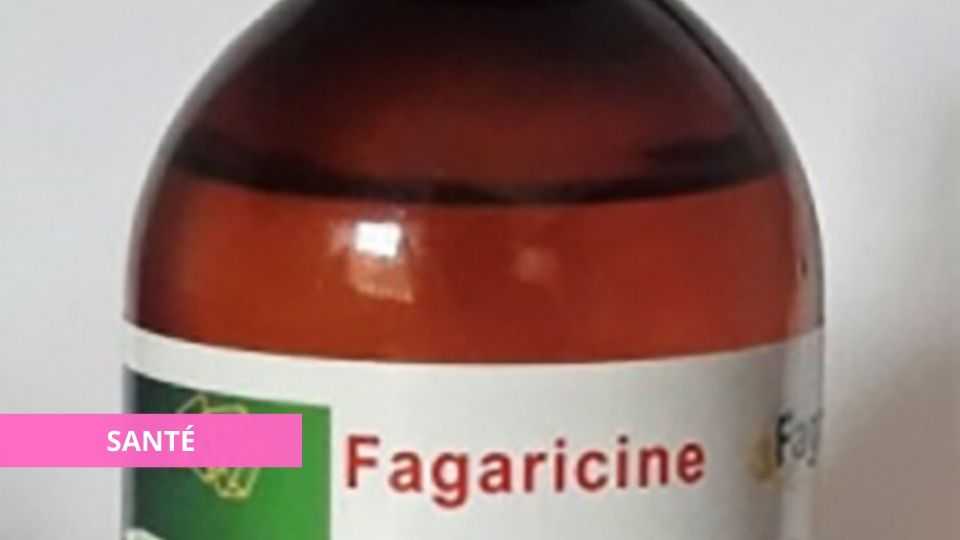 Medias241.com-gabon-FLOU SCIENTIFIQUE AUTOUR DE LA FAGARACINE