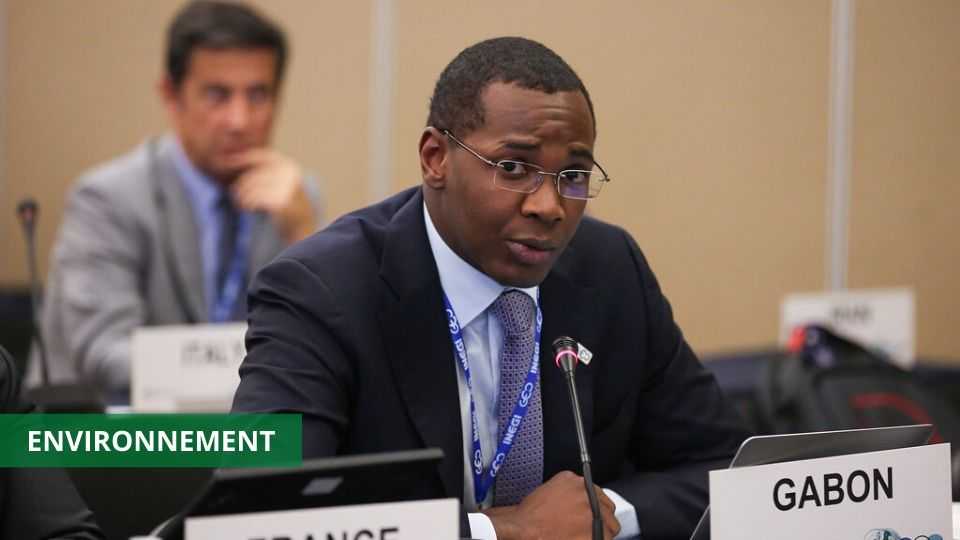 Medias241.com-gabon-LE GABON ET D’AUTRES PAYS AFRICAINS AFFICHENT LEUR ENGAGEMENT À LUTTER CONTRE LE CHANGEMENT CLIMATIQUE