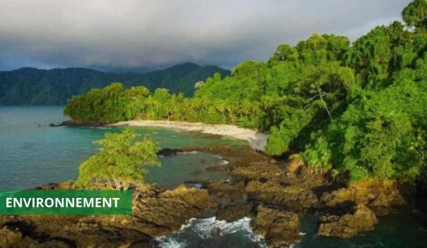 Medias241.com-gabon-INDEX DE PERFORMANCE DE L’ENVIRONNEMENT : LE GABON GAGNE 69 PLACES EN 2 ANS