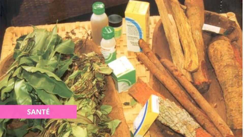 COVID-19 : LA PHARMACOPÉE GABONAISE INVITÉE À PROPOSER DES SOLUTIONS