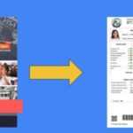 Medias241.com-Gabon-DISTRIBUTION DES BULLETINS EN LIGNE : UN SUCCÈS FULGURANT