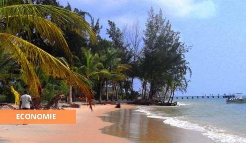 Medias241.com-Gabon-GABON : LES OPÉRATEURS DU TOURISME À L’AGONIE