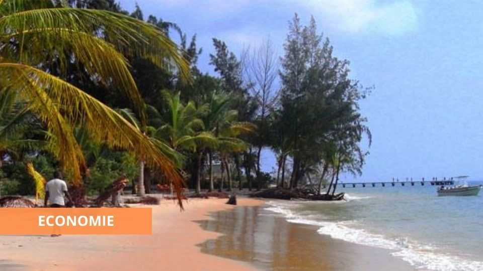 Medias241.com-Gabon-GABON : LES OPÉRATEURS DU TOURISME À L’AGONIE