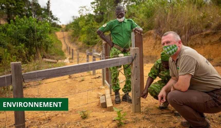 Medias241.com-GABON-CONFLIT HOMME–FAUNE: PLUSIEURS BARRIÈRES ÉLECTRIQUES POUR RÉSOUDRE LE PROBLÈME DANS L’OGOOUE-IVINDO