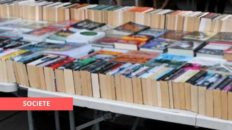 Medias241.com-GABON-Medias241.com-GABON-FOIRE AUX LIVRES À L'UOB : DES OUVRAGES À PRIX CASSÉS