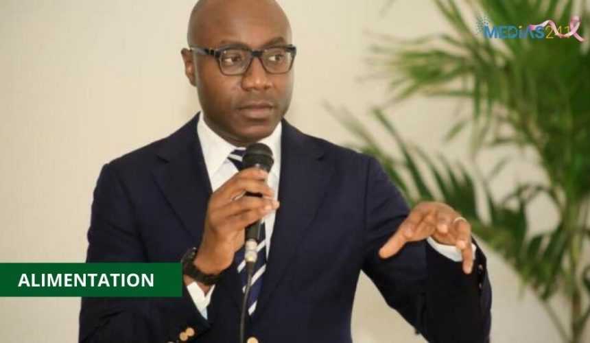 Medias241.com-GABON-« LE GABON IMPORTE 3000 TONNES DE PATTES DE POULET ET 3000 TONNES DE CROUPIONS » : BIENDI MAGANGA MOUSSAVOU