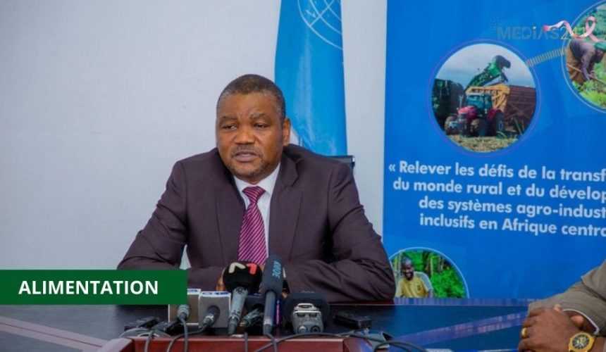 Medias241.com-SÉCURITÉ ALIMENTAIRE : 10 ANS DE PROGRÈS EN AFRIQUE CENTRALE, SELON LA FAO