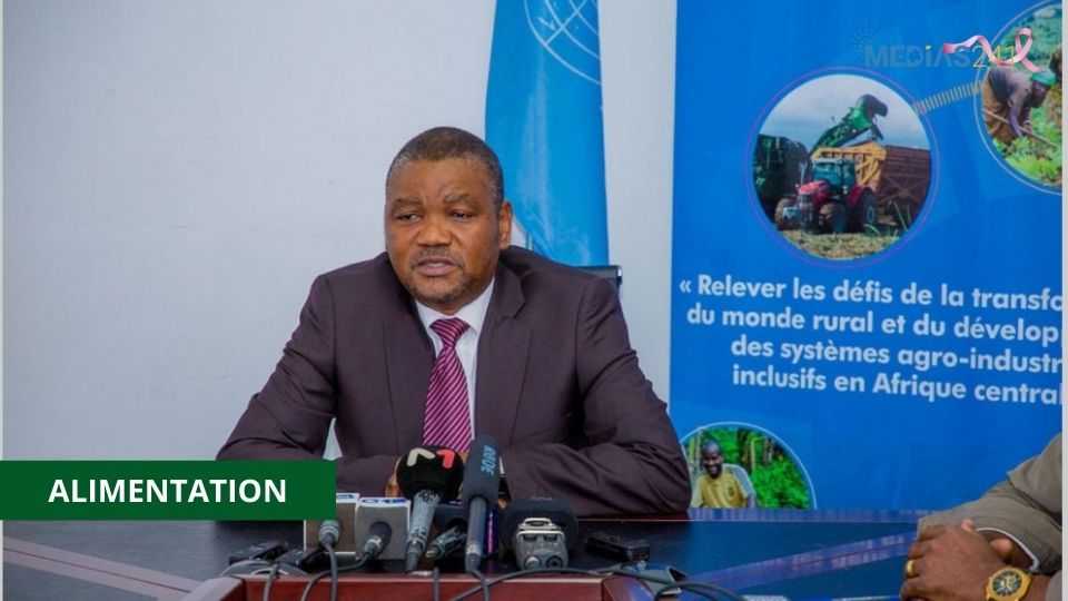 Medias241.com-SÉCURITÉ ALIMENTAIRE : 10 ANS DE PROGRÈS EN AFRIQUE CENTRALE, SELON LA FAO