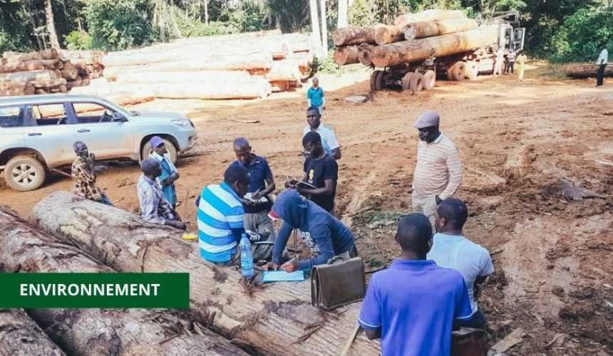 Medias241.com-GABON-L'OPÉRATION D’IDENTIFICATION ET DE RÉCUPÉRATION DES BOIS ABANDONNÉS TOUJOURS EN COURS