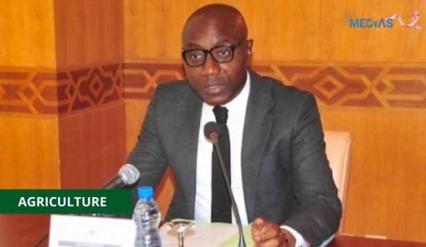 Medias241.com-SECTEUR AGRICOLE : L’ÉCOLE RURALE D’OYEM BIENTÔT RÉHABILITÉE