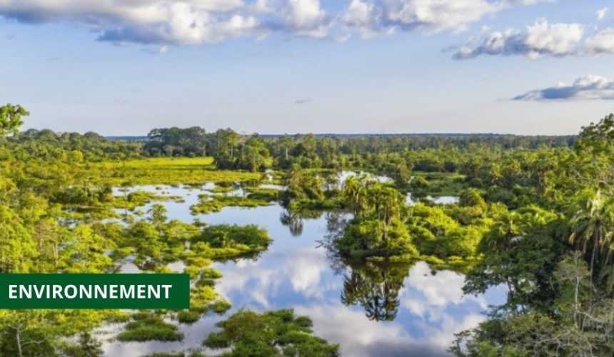 Medias241.com-GABON-LE CONSEIL NATIONAL CLIMAT ANNONCE LE LANCEMENT DE L’INITIATIVE CAFI À OYEM