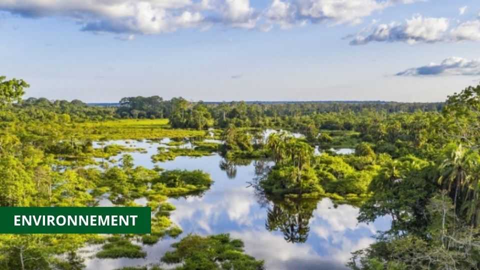 Medias241.com-GABON-LE CONSEIL NATIONAL CLIMAT ANNONCE LE LANCEMENT DE L’INITIATIVE CAFI À OYEM