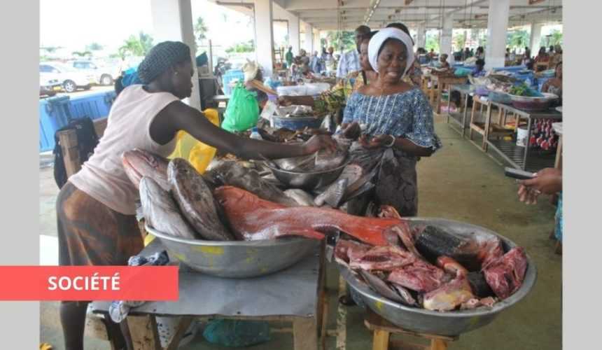 Medias241.com-GABON-GABON : LE JAPON VEUT CONTRIBUER AU DÉVELOPPEMENT DU CAPAL