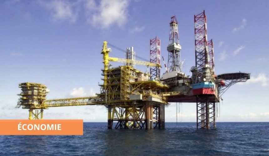 Medias241.com-GABON-GABON : DIVERSIFICATION DE L’ECONOMIE POUR AMORCER LE CHOC DE LA CRISE SANITAIRE