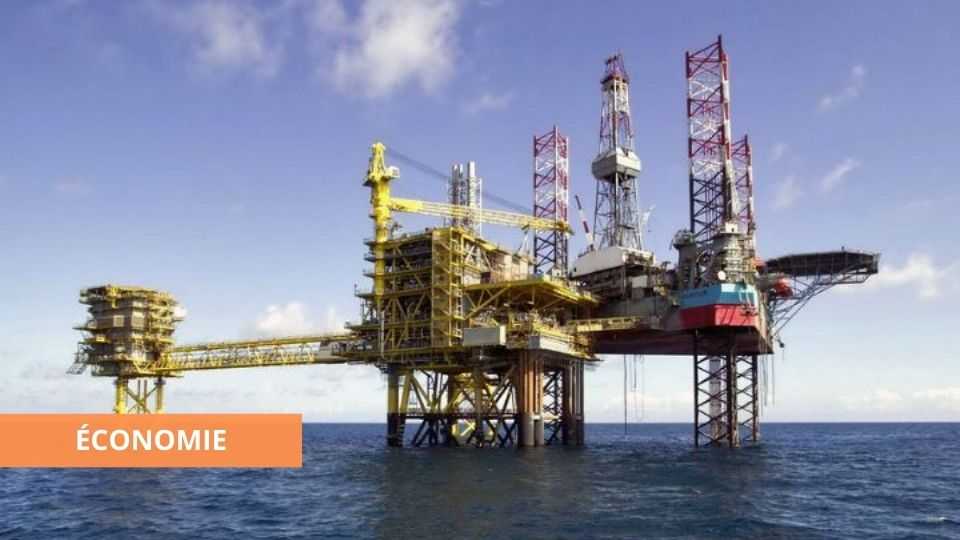 Medias241.com-GABON-GABON : DIVERSIFICATION DE L’ECONOMIE POUR AMORCER LE CHOC DE LA CRISE SANITAIRE