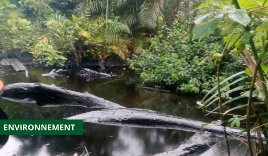 Medias241.com-POLLUTION : LANCEMENT D’UN AUDIT OPÉRATIONNEL DES INSTALLATIONS DE PERENCO