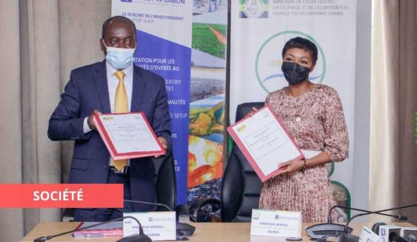 Medias241.com-GABON-CRÉATION D'ENTREPRISE : L’AGASA FACILITE L’ACCÈS À L’AGRÉMENT