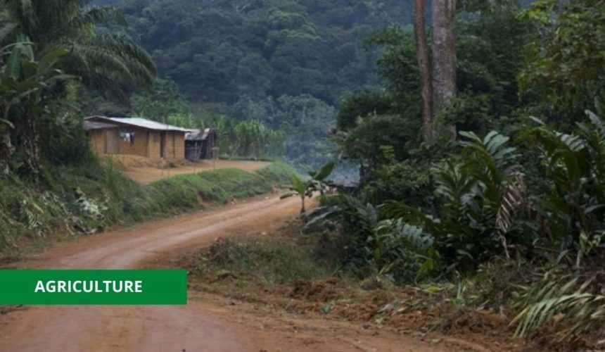 Medias241.com-GABON-AGRICULTURE : LE GOUVERNEMENT LANCE UN APPEL D’OFFRE POUR LA RÉHABILITATION DE 53 KMS DE PISTES RURALES