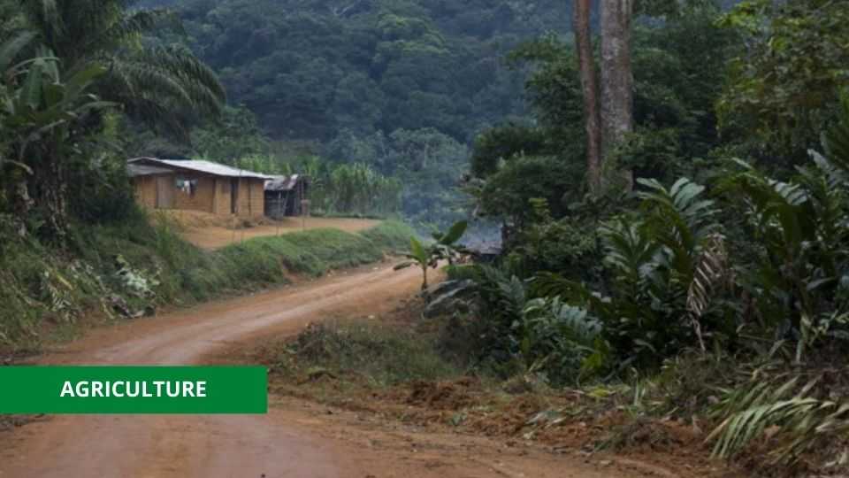Medias241.com-GABON-AGRICULTURE : LE GOUVERNEMENT LANCE UN APPEL D’OFFRE POUR LA RÉHABILITATION DE 53 KMS DE PISTES RURALES