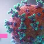 Medias241.com-FORMATION D'UN NOUVEAU CORONAVIRUS SUITE À LA FUSION DE DEUX VARIANTS