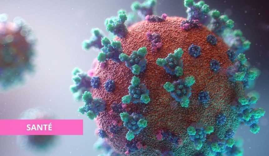 Medias241.com-FORMATION D'UN NOUVEAU CORONAVIRUS SUITE À LA FUSION DE DEUX VARIANTS