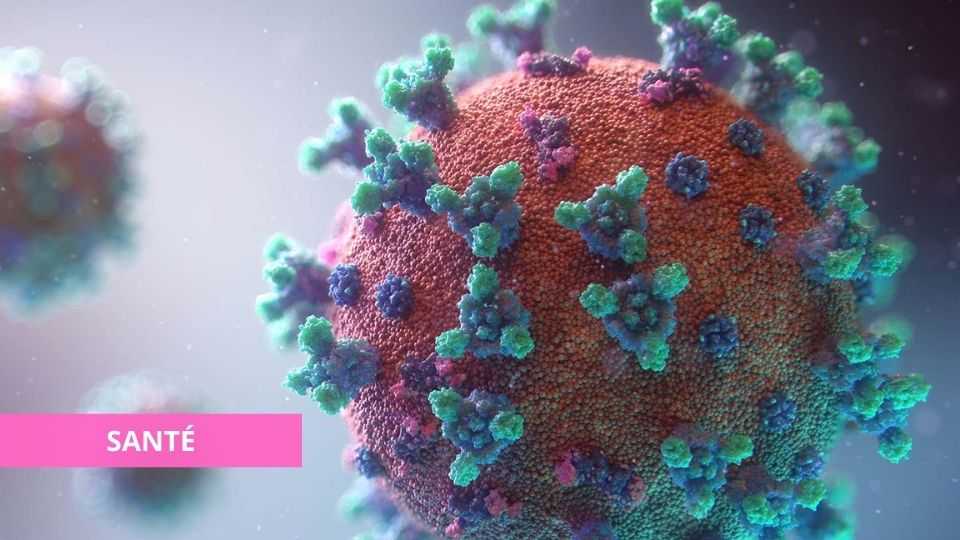 Medias241.com-FORMATION D'UN NOUVEAU CORONAVIRUS SUITE À LA FUSION DE DEUX VARIANTS