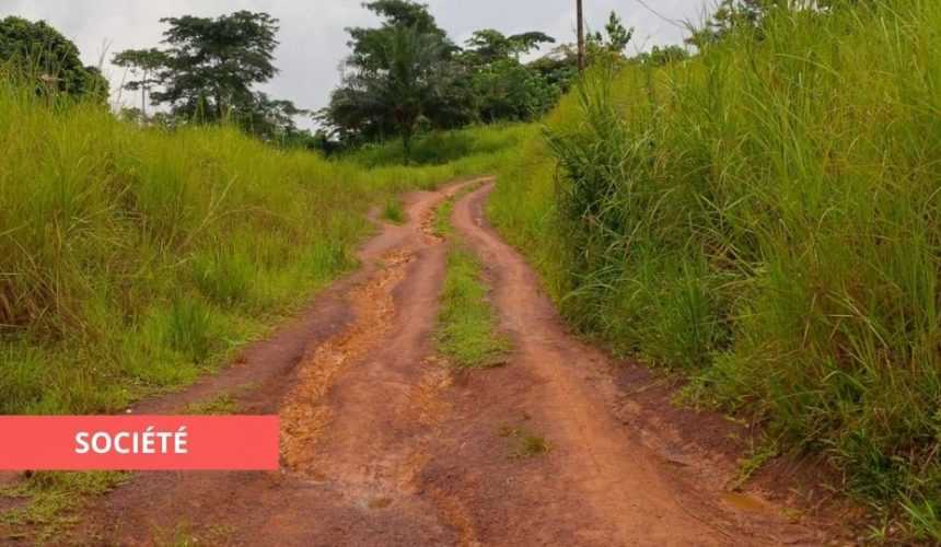 Medias241.com-FAITS DIVERS : CONFONDU À UN SANGLIER, UN HOMME MEURT PAR BALLES À MALINGA