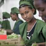 Medias241.com-GABON-NOUVEAU CODE DU TRAVAIL : PLUS D’UN MILLIER DE JEUNES ATTENDUS SUR LE MARCHE DE L’EMPLOI AU GABON
