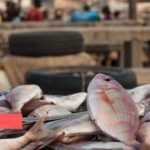 Medias241.com-PORT-GENTIL : VERS UNE PÉNURIE DE POISSONS ?