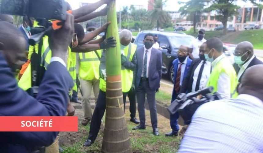 Medias241.com-GABON-ESPACES VERTS : EUGÈNE MBA POSE SON PREMIER ACTE ÉCOLOGIQUE