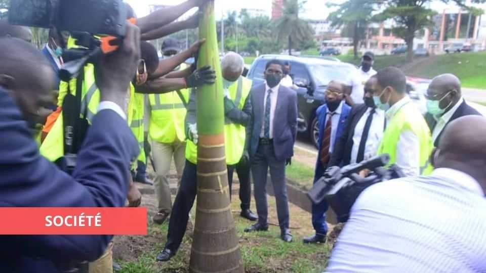 Medias241.com-GABON-ESPACES VERTS : EUGÈNE MBA POSE SON PREMIER ACTE ÉCOLOGIQUE