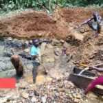 Medias241.com-GABON-ENVIRONNEMENT : LE GABON ET LE COSTA RICA S'UNISSENT POUR LA PROTECTION DES ESPÈCES SAUVAGES