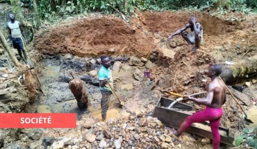 Medias241.com-GABON-ENVIRONNEMENT : LE GABON ET LE COSTA RICA S'UNISSENT POUR LA PROTECTION DES ESPÈCES SAUVAGES