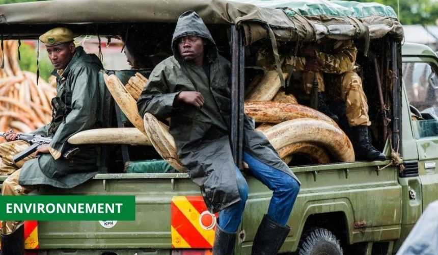 Medias241.com-GABON-LE GABON ET LE COSTA RICA S'UNISSENT POUR LA PROTECTION DES ESPÈCES SAUVAGES