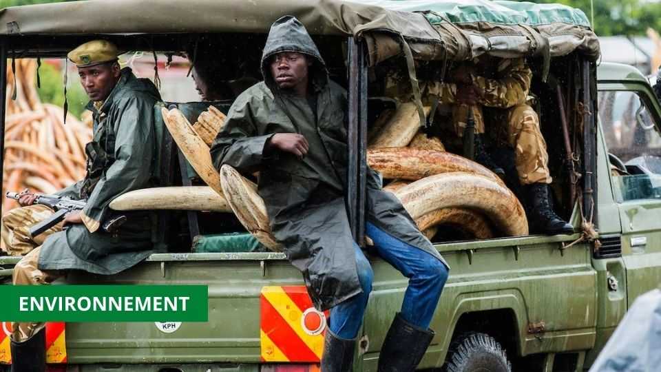 Medias241.com-GABON-LE GABON ET LE COSTA RICA S'UNISSENT POUR LA PROTECTION DES ESPÈCES SAUVAGES