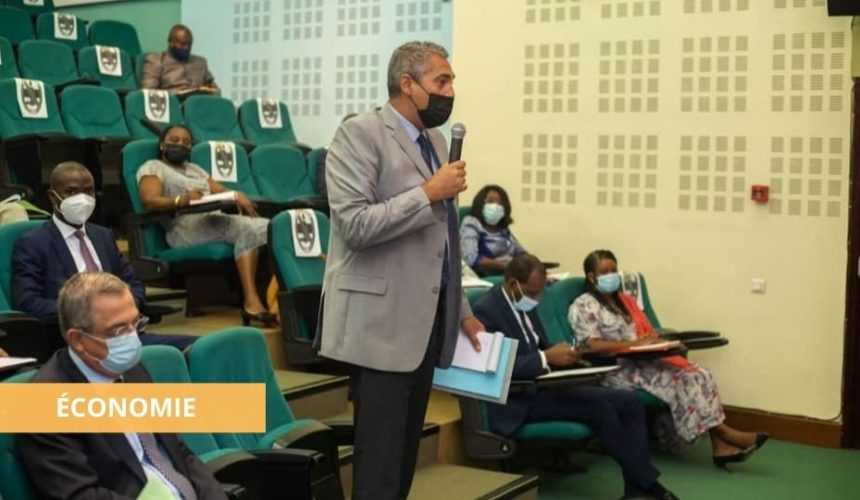 Medias241.com-GABON-FILIÈRE-BOIS : LES OPÉRATEURS ÉCONOMIQUES EXPOSENT LEURS DIFFICULTÉS