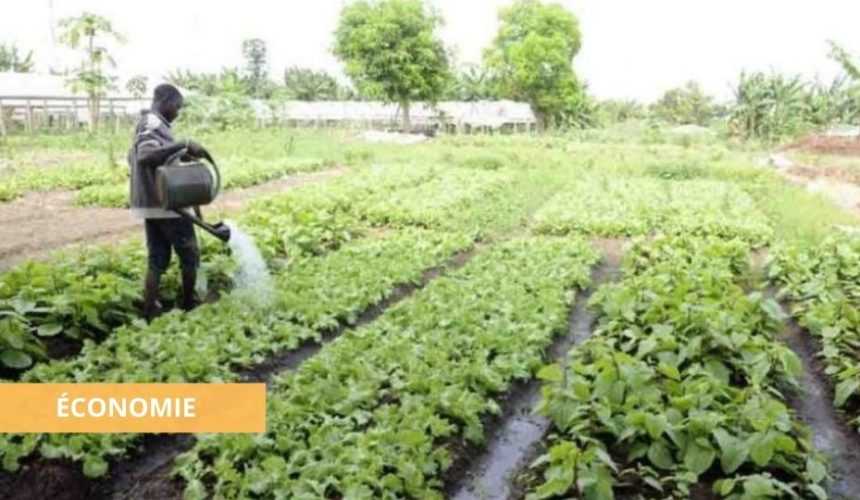 Medias241.com-ÉCONOMIE : LE GABON BIEN PARTI POUR BÉNÉFICIER DU FONDS VERT ANNONCÉ PAR LE PRINCE DE GALLES