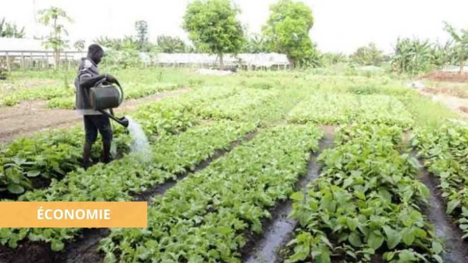 Medias241.com-ÉCONOMIE : LE GABON BIEN PARTI POUR BÉNÉFICIER DU FONDS VERT ANNONCÉ PAR LE PRINCE DE GALLES