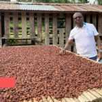 Medias241.com-GABON-Medias241.com-GABON-CAISTAB : THIERRY MBOUTSOU POURSUIT LA RELANCE DES ACTIVITÉS CAFÉ-CACAO DANS LA NGOUNIÉ, LE MOYEN-OGOOUÉ ET LA NYANGA
