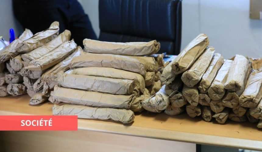Medias241.com-GABON-LIBREVILLE : SAISIE DE 75 BOTTES DE CANNABIS DISSIMULÉS DANS UNE GLACIÈRE DE SARDINES