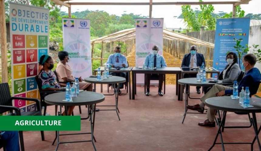 Medias241.com-GABON-AGRICULTURE : LA FAO ACCUEILLE LES CONSULTATIONS DÉPLACÉES