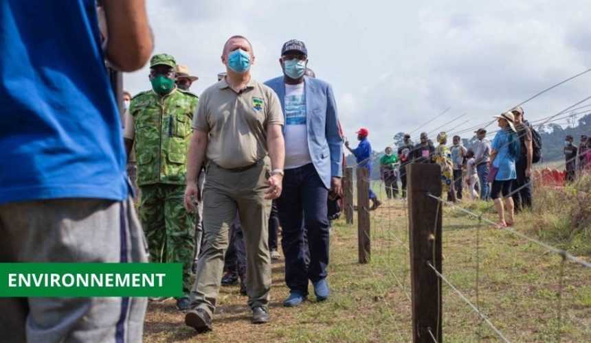 Medias241.com-GABON-ENVIRONNEMENT : LEE WHITE INAUGURE DES BARRIÈRES ÉLECTRIQUES DE 141.7 HA