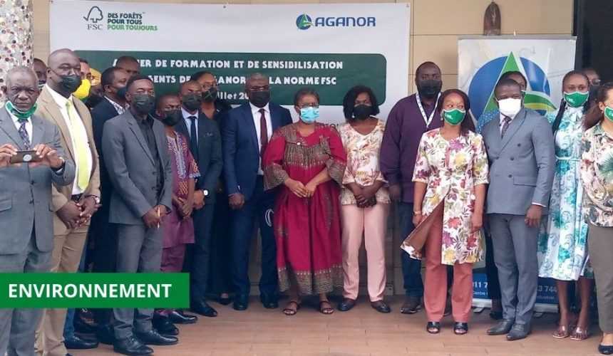 Medias241.com-GABON-CERTIFICATION FORESTIÈRE : L’AGANOR ÉDIFIÉE SUR LA NORME NATIONALE FSC